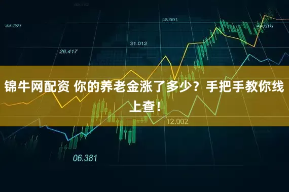 锦牛网配资 你的养老金涨了多少？手把手教你线上查！